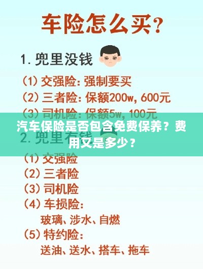汽车保险中的免费保养与费用详解-图1 汽车保险中的免费保养与费用详解-图1