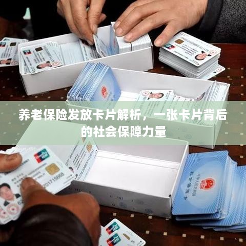 养老保险发放卡片的深度解析,社会保障力量的体现-图1 养老保险发放卡片的深度解析,社会保障力量的体现-图1
