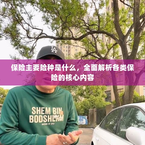 全面解析,保险主要险种及其核心内容-图1 全面解析,保险主要险种及其核心内容-图1