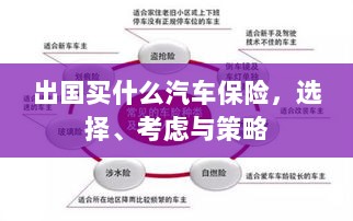 出国购车保险指南,选择、考虑与策略全解析-图1 出国购车保险指南,选择、考虑与策略全解析-图1