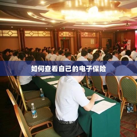 如何查看个人电子保险保单详情-图1 如何查看个人电子保险保单详情-图1