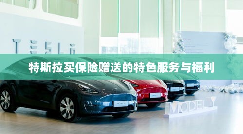 特斯拉保险特惠，独家特色服务与丰厚赠品等你来享-图1