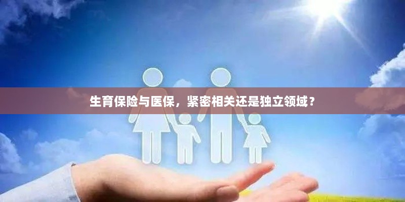 生育保险与医保,紧密关联还是独立领域探讨?-图1 生育保险与医保,紧密关联还是独立领域探讨?-图1
