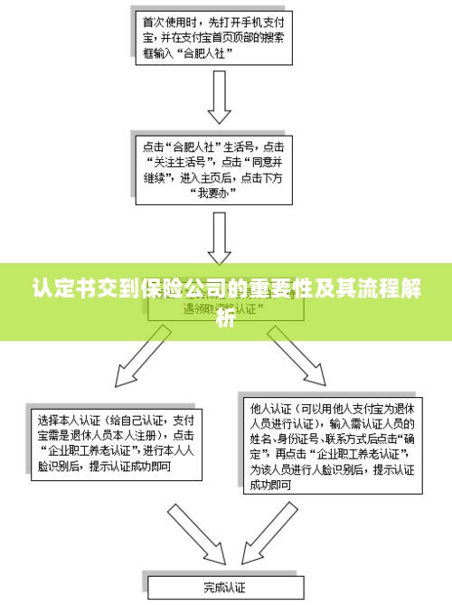 认定书交到保险公司的流程解析与重要性探讨-图1
