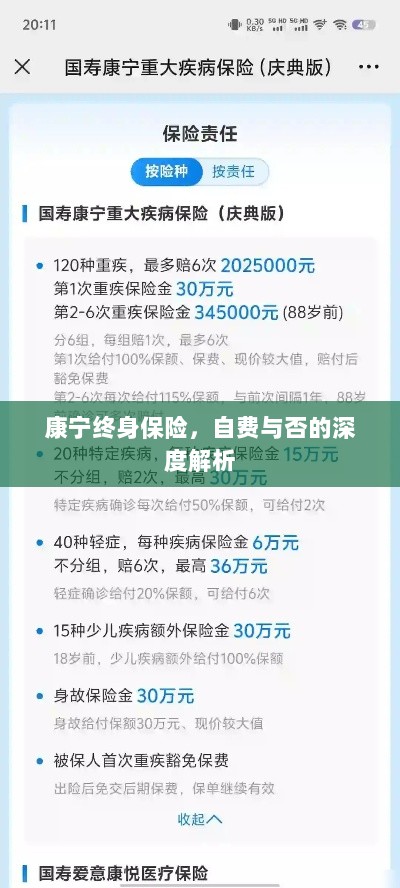 康宁终身保险，自费与否的全面解析与探讨-图1