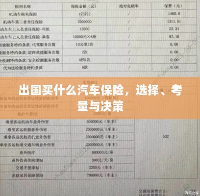 出国购车保险指南,选择、考量与决策攻略-图1 出国购车保险指南,选择、考量与决策攻略-图1