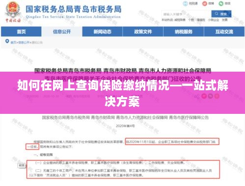 网上查询保险缴纳情况，一站式解决方案指南-图1