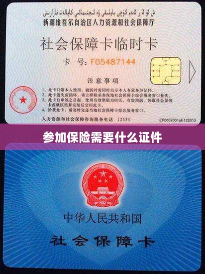 参加保险所需证件概览-图1