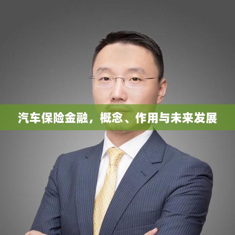 汽车保险金融,概念、功能及未来发展趋势-图1 汽车保险金融,概念、功能及未来发展趋势-图1