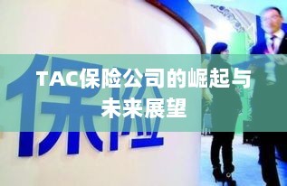 TAC保险公司的崛起及未来展望-图1