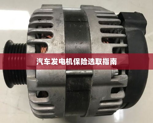 汽车发电机保险选购指南-图1