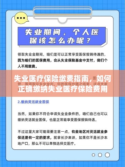 失业医疗保险缴费详解,如何正确缴纳费用指南-图1 失业医疗保险缴费详解,如何正确缴纳费用指南-图1
