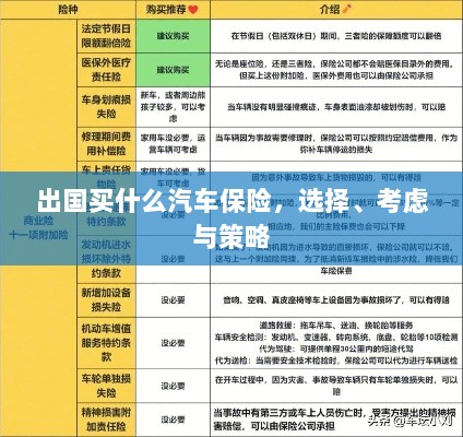 出国购车保险指南，选择、考虑与策略全解析-图1