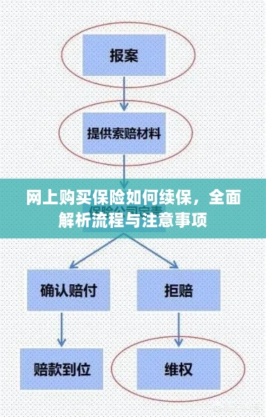 网上购买保险续保指南，流程解析与注意事项全攻略-图1
