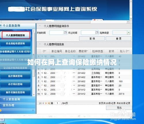 网上查询保险缴纳情况攻略-图1