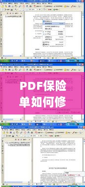 PDF保险单修改指南-图1 PDF保险单修改指南-图1