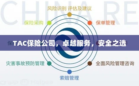TAC保险公司，卓越服务，信赖的安全之选-图1