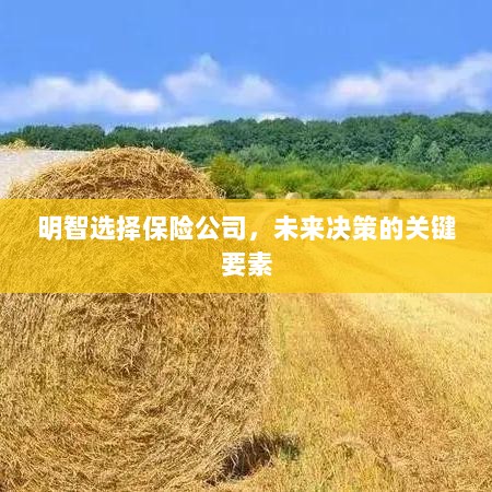 明智选择保险公司,未来决策的关键要素概览-图1 明智选择保险公司,未来决策的关键要素概览-图1