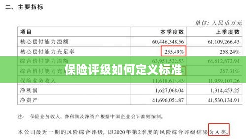 保险评级标准定义解析-图1