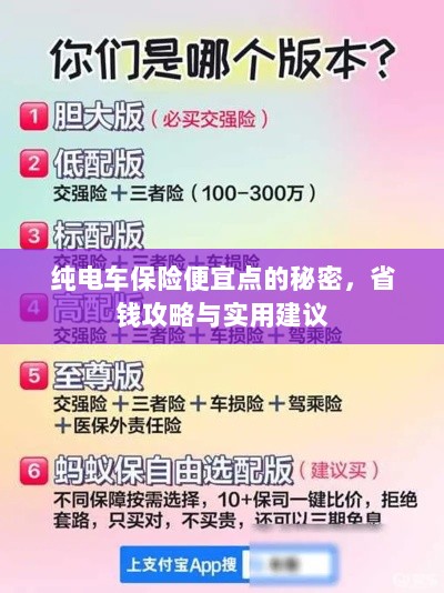 纯电车保险省钱攻略,如何找到更便宜的保险与实用建议-图1 纯电车保险省钱攻略,如何找到更便宜的保险与实用建议-图1