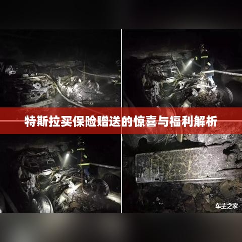特斯拉保险赠品福利大解析,惊喜与优惠一网打尽!-图1 特斯拉保险赠品福利大解析,惊喜与优惠一网打尽!-图1