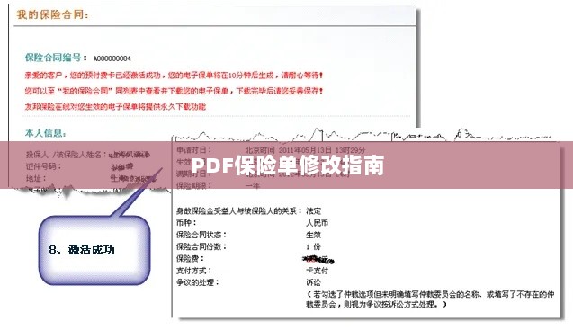 PDF保险单修改指南详解-图1