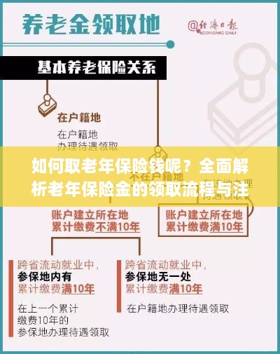 全面解析，老年保险金的领取流程与注意事项指南——如何顺利领取老年保险金？-图1
