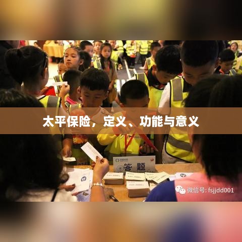 太平保险，定义、功能及其重要意义-图1