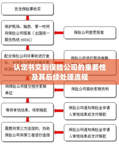 认定书对保险公司的重要性及后续处理流程详解-图1 认定书对保险公司的重要性及后续处理流程详解-图1