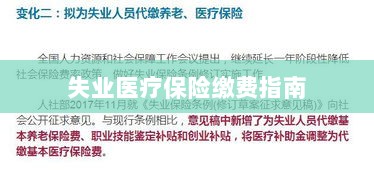 失业医疗保险缴费详解，一站式指南-图1