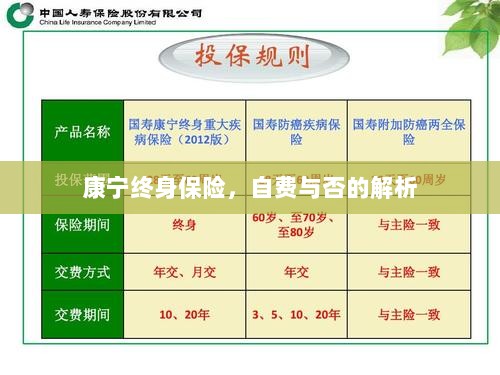 康宁终身保险，自费与否的详解-图1