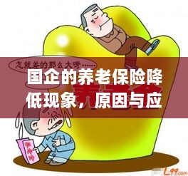 国企养老保险降低现象,原因探究与应对策略-图1 国企养老保险降低现象,原因探究与应对策略-图1