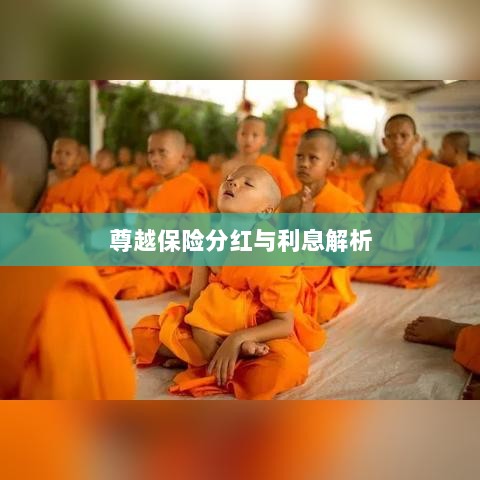 尊越保险分红与利息深度解析-图1 尊越保险分红与利息深度解析-图1