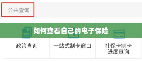 如何查看个人电子保险保单详情-图1