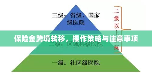 保险金跨境转移,操作策略及注意事项指南-图1 保险金跨境转移,操作策略及注意事项指南-图1