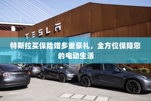 特斯拉保险优惠，全方位保障电动生活，多重豪礼等你来领-图1