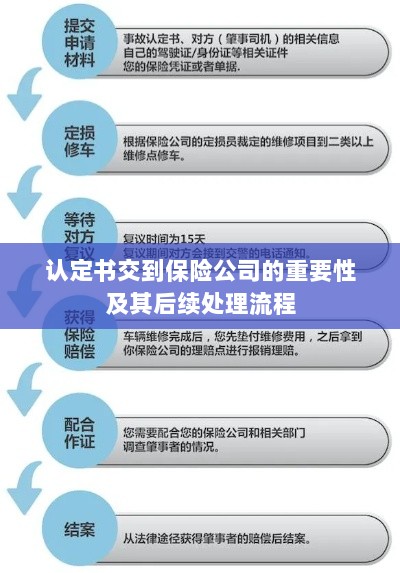 认定书对保险公司的重要性及后续处理流程详解-图1