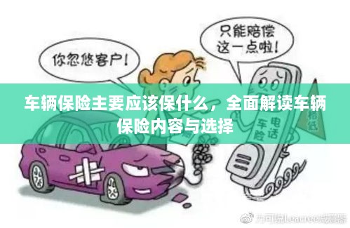 全面解读,车辆保险内容与选择,保障你的行车安全之路-图1 全面解读,车辆保险内容与选择,保障你的行车安全之路-图1