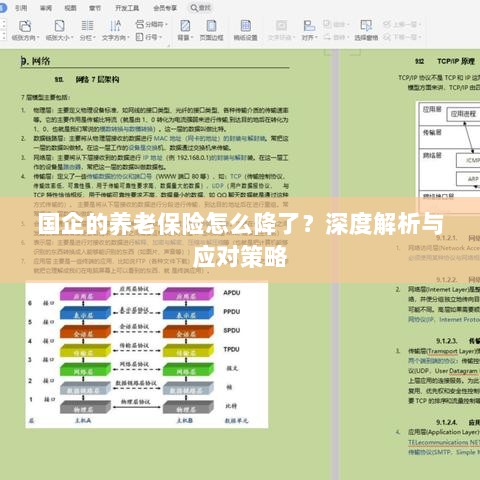深度解析国企养老保险降低原因及应对策略-图1