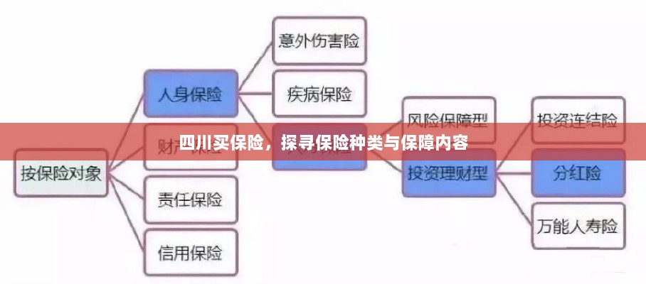 四川保险探秘，种类与保障内容全解析-图1