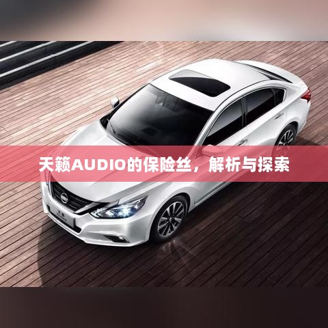 天籁AUDIO保险丝解析与探索-图1