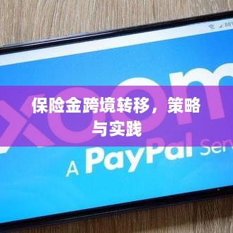 保险金跨境转移的策略与实践探讨-图1