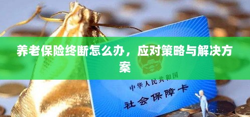 养老保险中断应对指南,解决方案与策略-图1 养老保险中断应对指南,解决方案与策略-图1