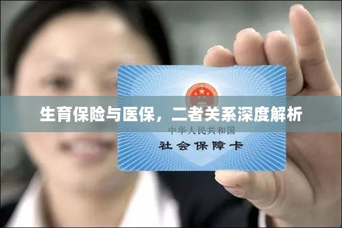 生育保险与医保的关系深度探讨与解析-图1 生育保险与医保的关系深度探讨与解析-图1