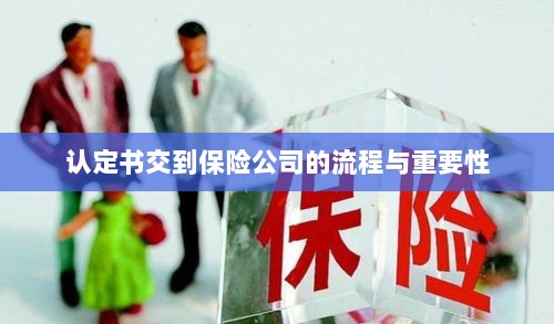 认定书交到保险公司的流程及其重要性概述-图1 认定书交到保险公司的流程及其重要性概述-图1