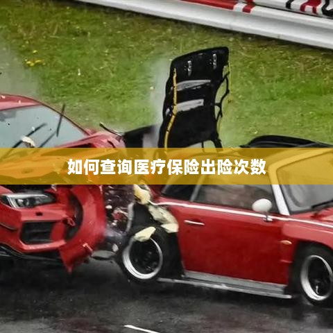 医疗保险出险次数查询攻略-图1 医疗保险出险次数查询攻略-图1