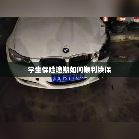 学生保险逾期续保攻略,顺利过渡无忧保障-图1 学生保险逾期续保攻略,顺利过渡无忧保障-图1