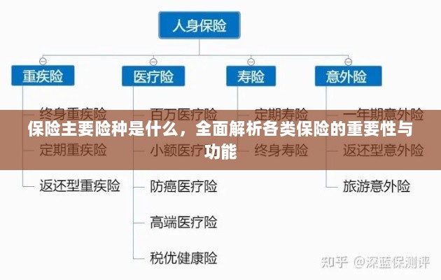 全面解析保险主要险种，各类保险的重要性与功能介绍-图1