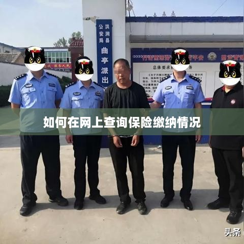 网上查询保险缴纳情况攻略-图1 网上查询保险缴纳情况攻略-图1