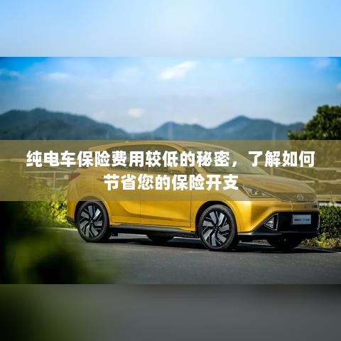 纯电车保险费用较低的秘密,节省保险开支的诀窍-图1 纯电车保险费用较低的秘密,节省保险开支的诀窍-图1